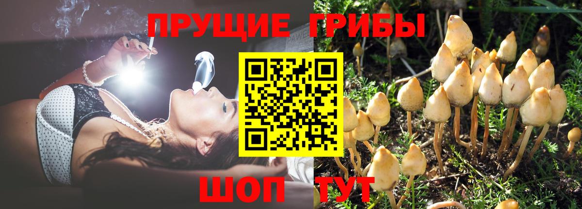 Ливны  Галлюциногенные грибы Magic Shrooms  Псилоцибиновые грибы Cubensis  Вход с VPN 